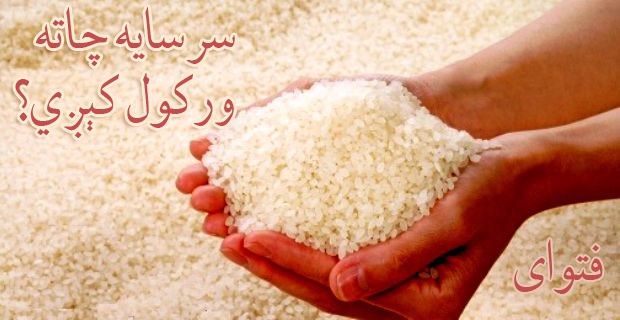 سرسایه چاته ورکول کېږي