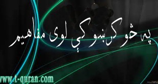 په څو کرښو کې لوی مفاهیم11