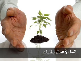 د احدیثو پښتو شرحه