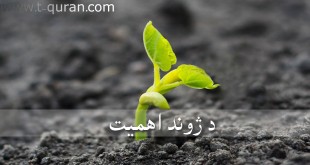 تعلیم القرآن راډیو