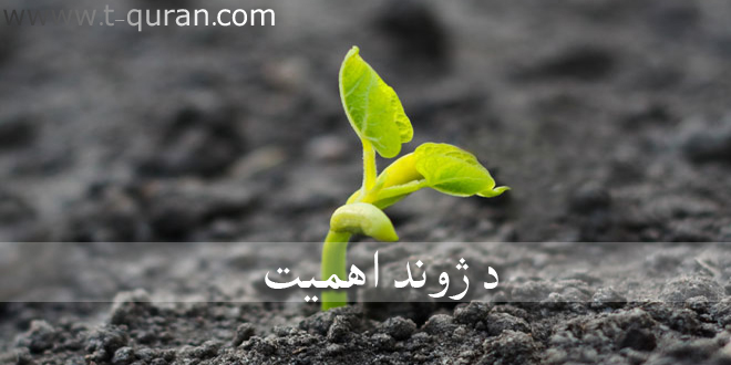 تعلیم القرآن راډیو