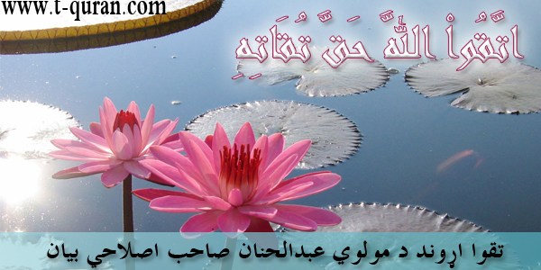 اصلاحي بیانونه