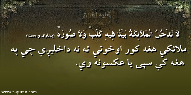 وځنی حدیث4556