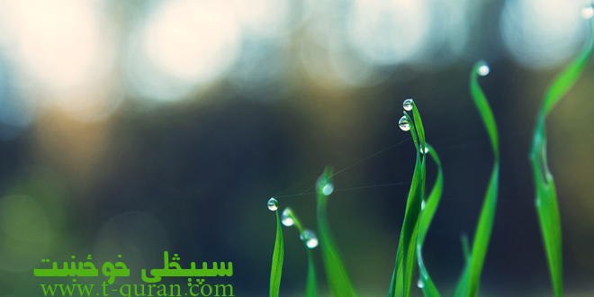 سپېڅلى خوځښت