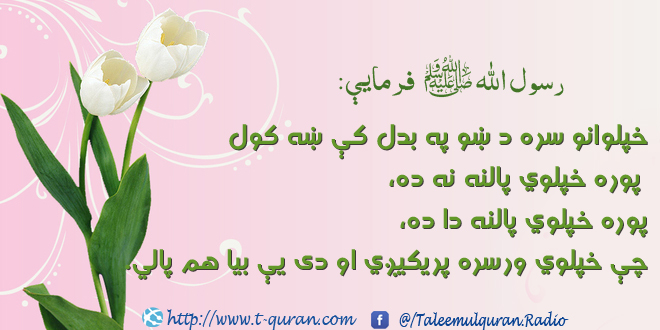 د خپلوانو خپلوي پالل